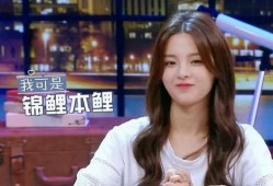 娱乐吃瓜酱外国网友视频,娱乐吃瓜酱带你领略异国风情