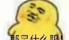 表情中的吃瓜是什么意思,揭秘“吃瓜”表情背后的网络文化现象