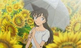 毛利兰吃瓜娱乐八卦,揭秘侦探界背后的娱乐八卦