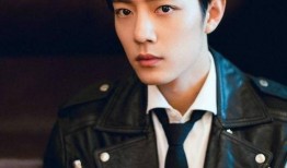 娱乐吃瓜君肖战粉丝,娱乐吃瓜界的风云人物